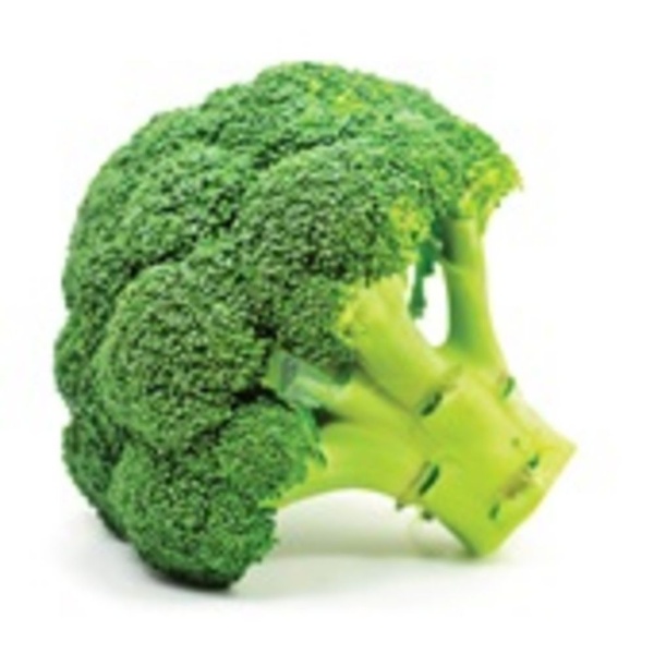 AGF broccoli bio 350 GR